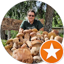 Carl Sime profile picture